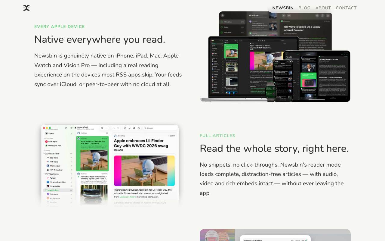 Newsbin screenshot 2