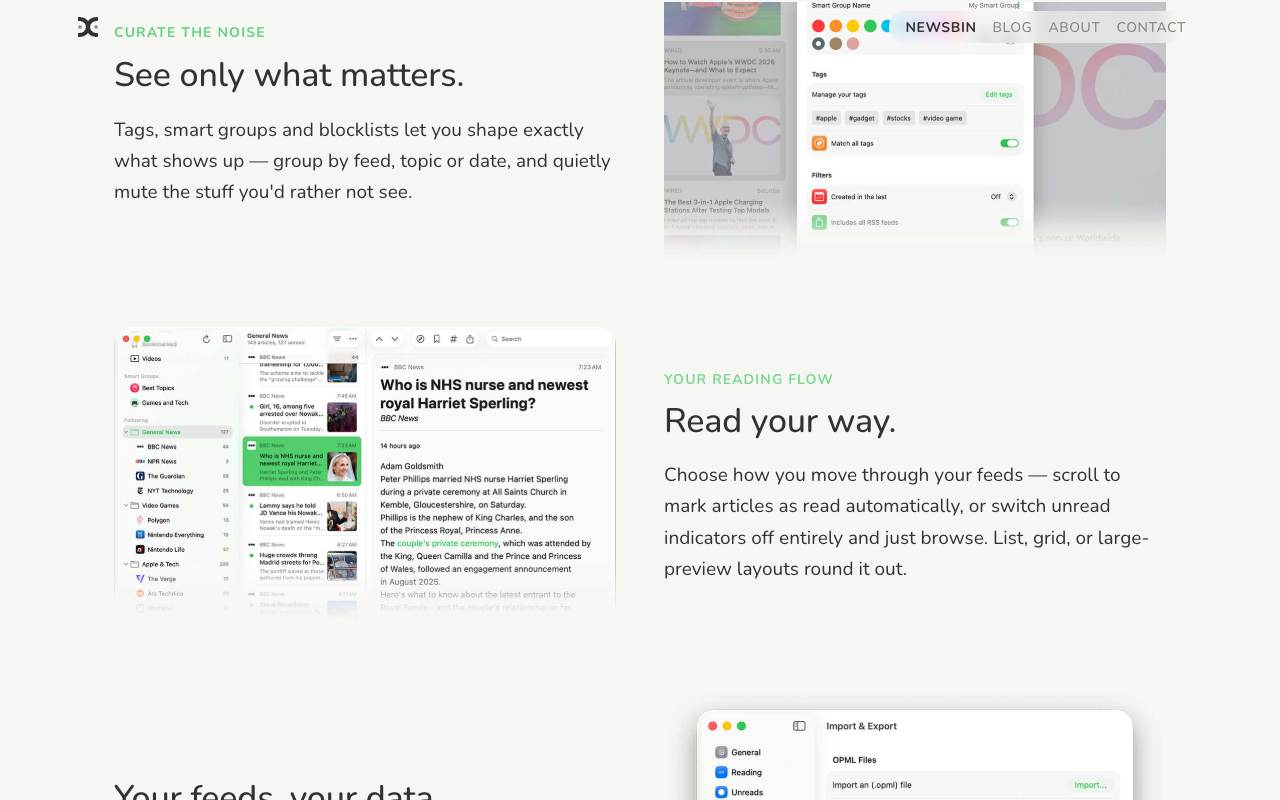 Newsbin screenshot 3