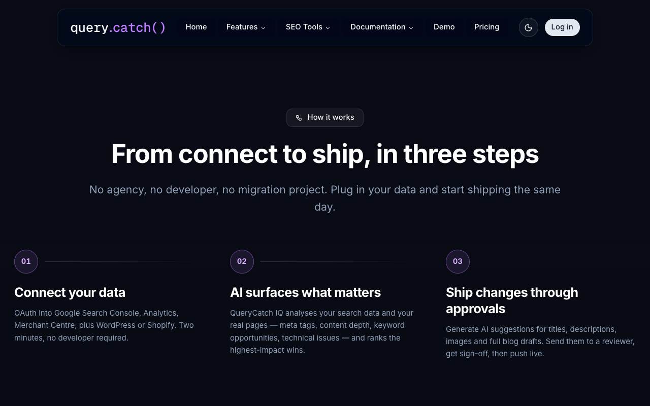 QueryCatch screenshot 4